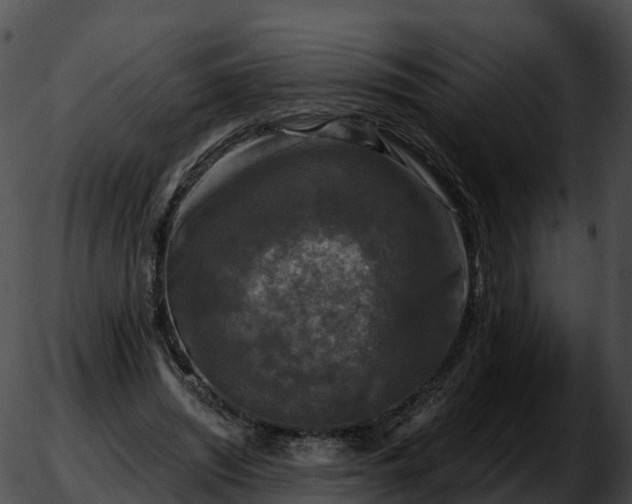 X0000051890444200507020100