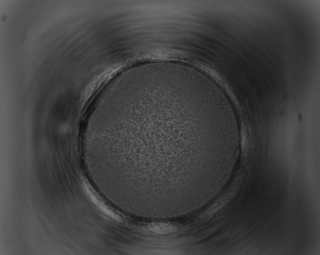 X0000051890445200507020100