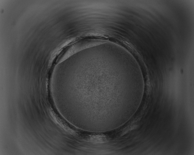 X0000051890446200507020100