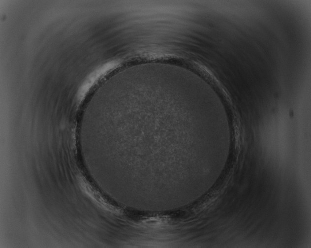 X0000051890447200507020100