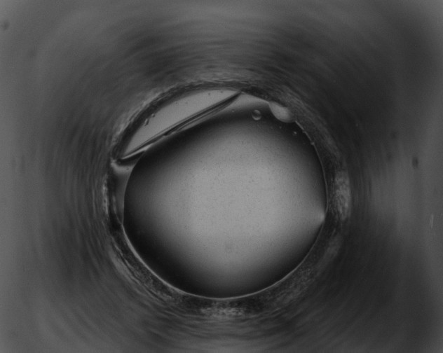 X0000051890448200507020100