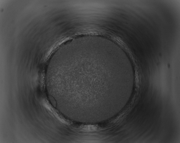 X0000051890449200507020100