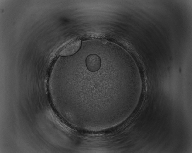 X0000051890450200507020100