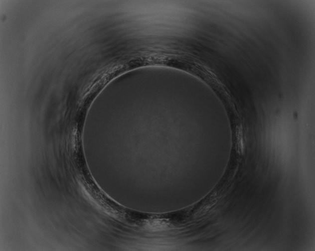 X0000051890451200507020100