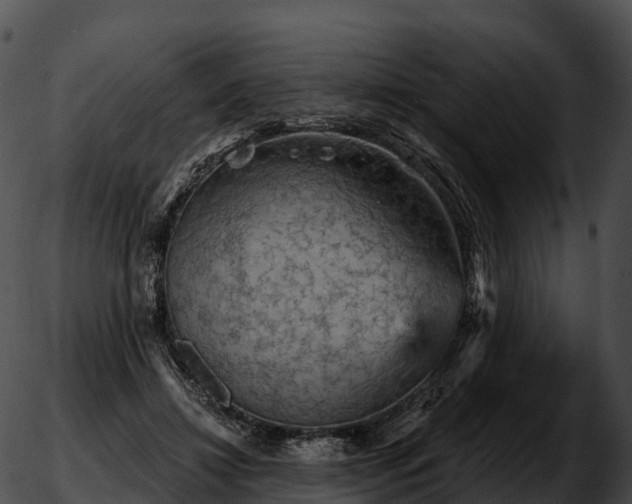 X0000051890452200507020100