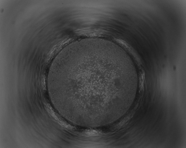 X0000051890453200507020100