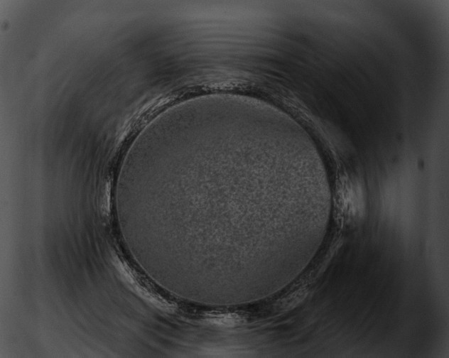 X0000051890454200507020100