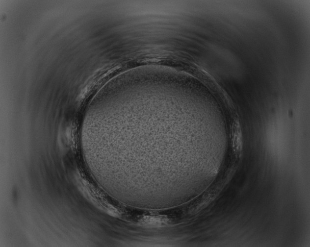 X0000051890455200507020100