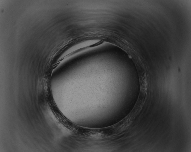 X0000051890456200507020100