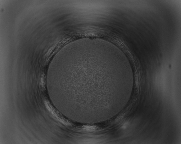 X0000051890457200507020100