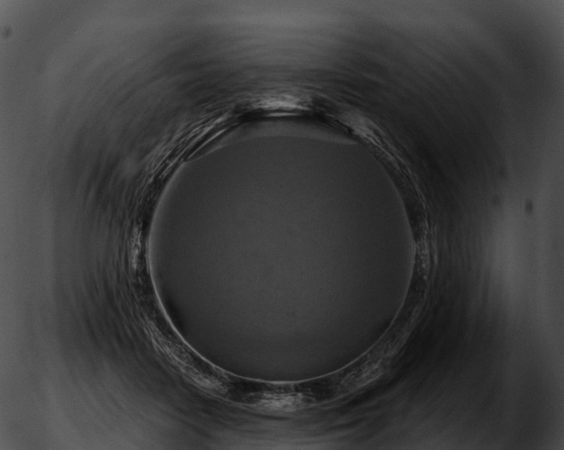 X0000051890458200507020100