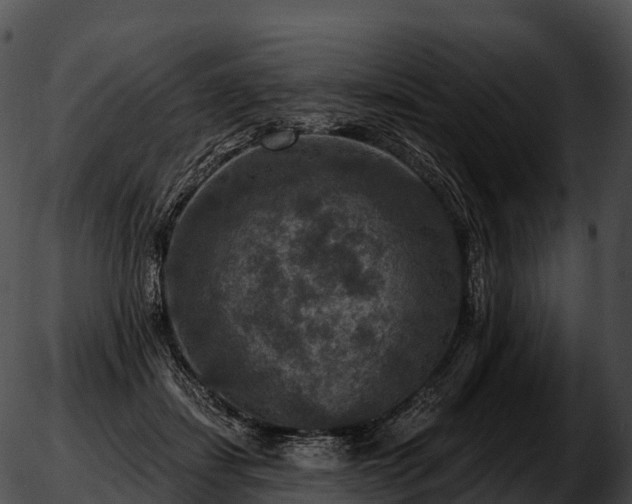 X0000051890459200507020100