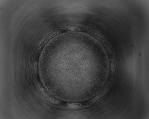 X0000051890461200507020100