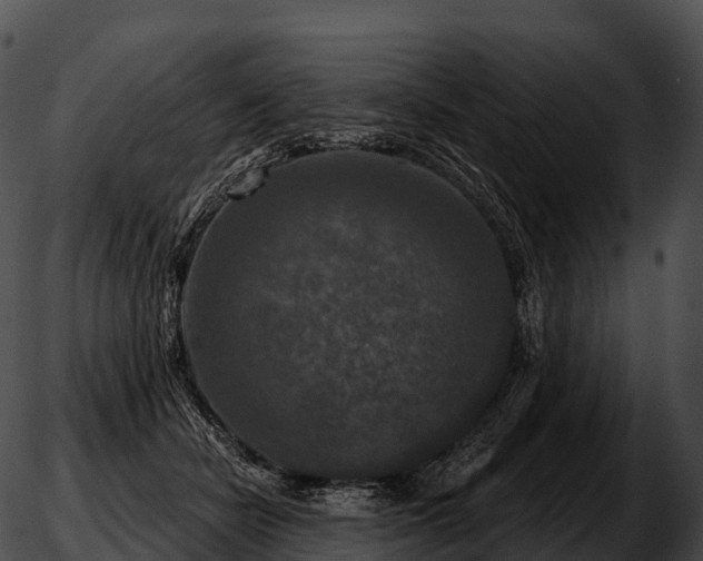 X0000051890462200507020100