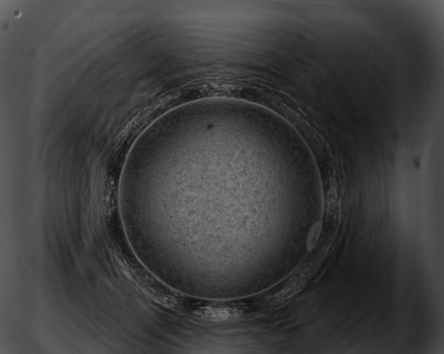 X0000051890464200507020100