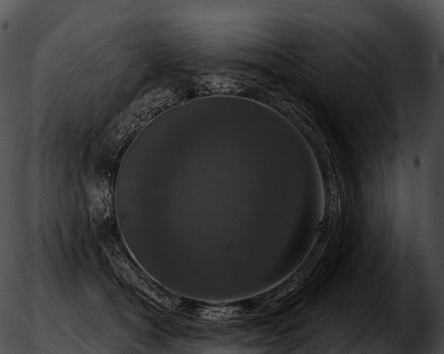 X0000051890465200507020100