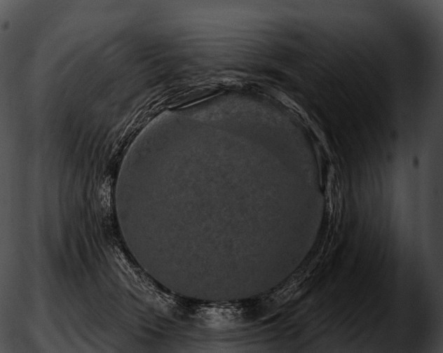 X0000051890466200507020100