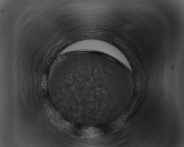 X0000051890467200507020100