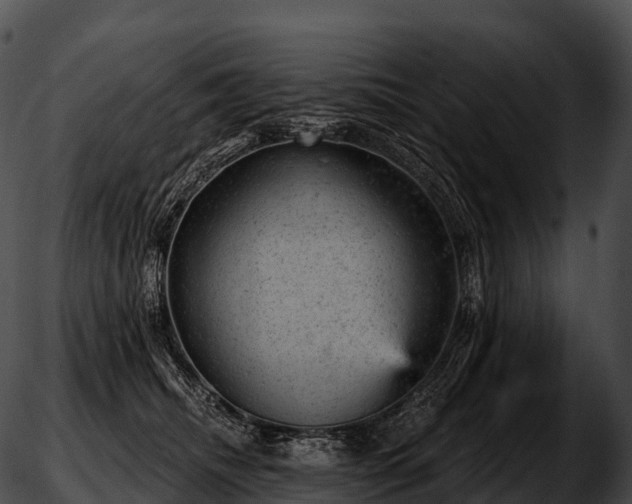 X0000051890468200507020100