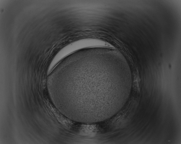 X0000051890469200507020100