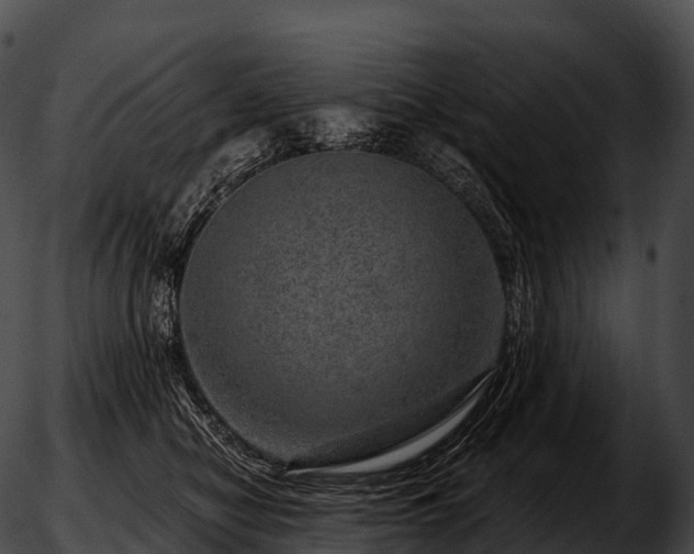 X0000051890470200507020100