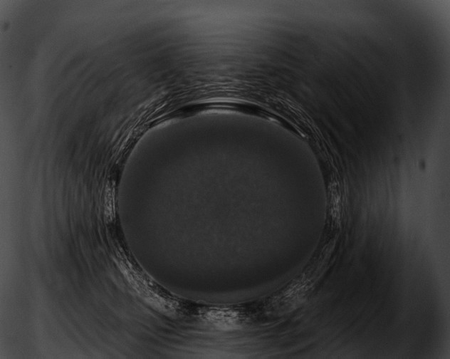 X0000051890471200507020100