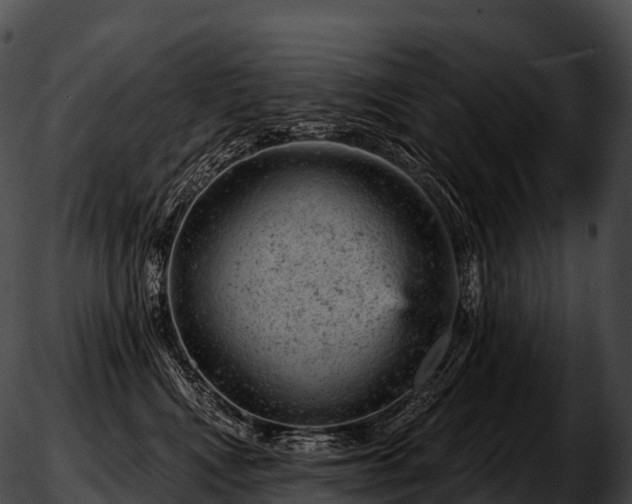 X0000051890472200507020100