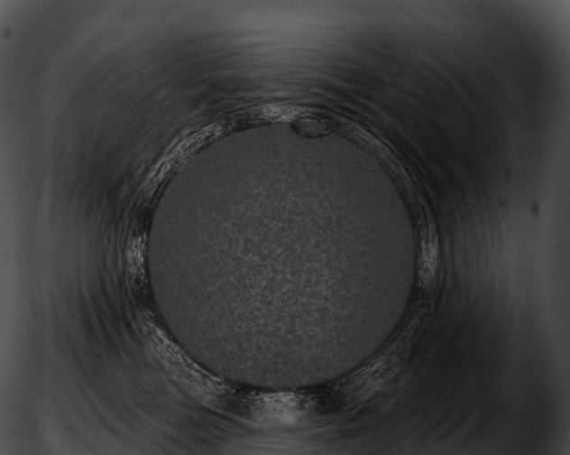 X0000051890473200507020100