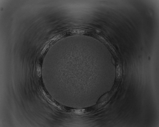 X0000051890474200507020100