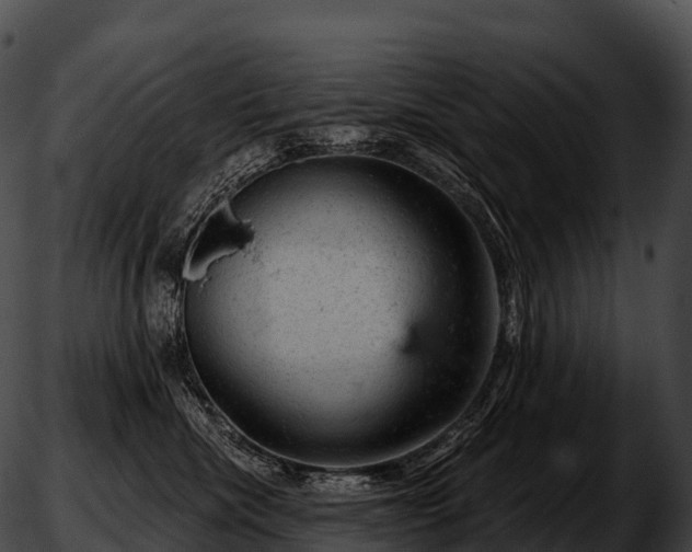 X0000051890476200507020100