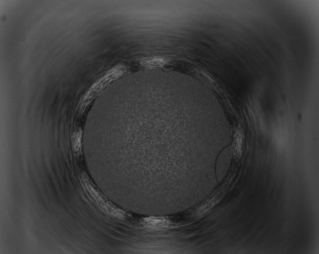 X0000051890477200507020100