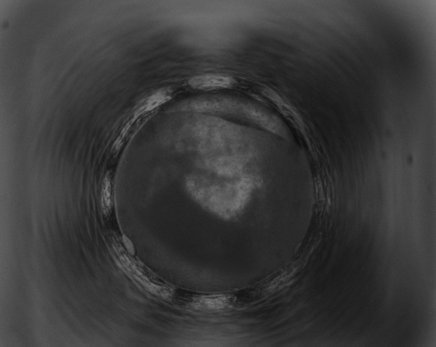 X0000051890479200507020100