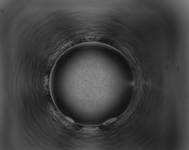 X0000051890480200507020100