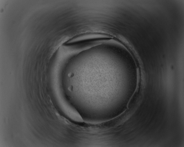 X0000051890481200507020059