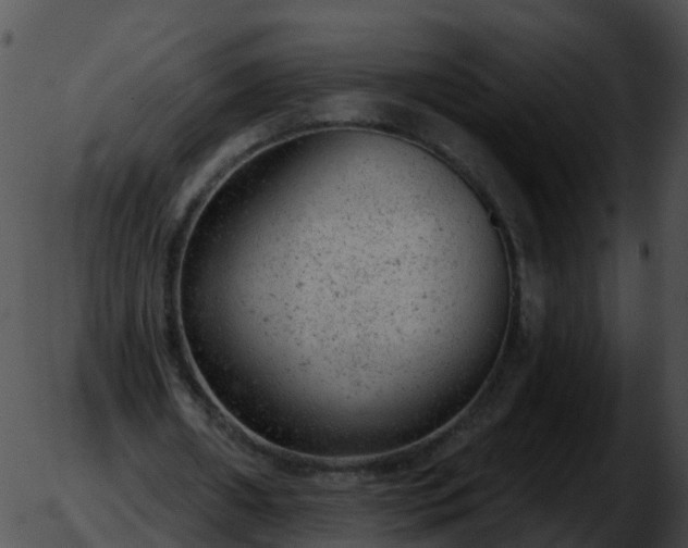 X0000051890482200507020059