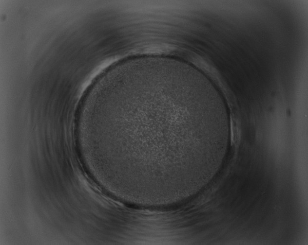 X0000051890483200507020059