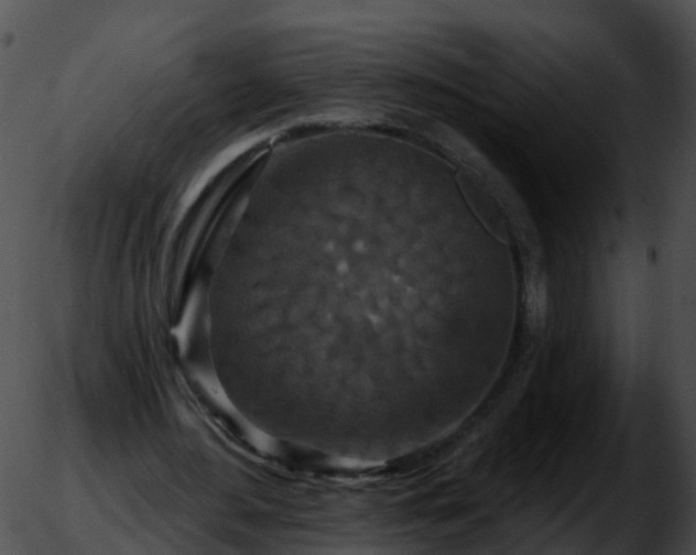 X0000051890484200507020059