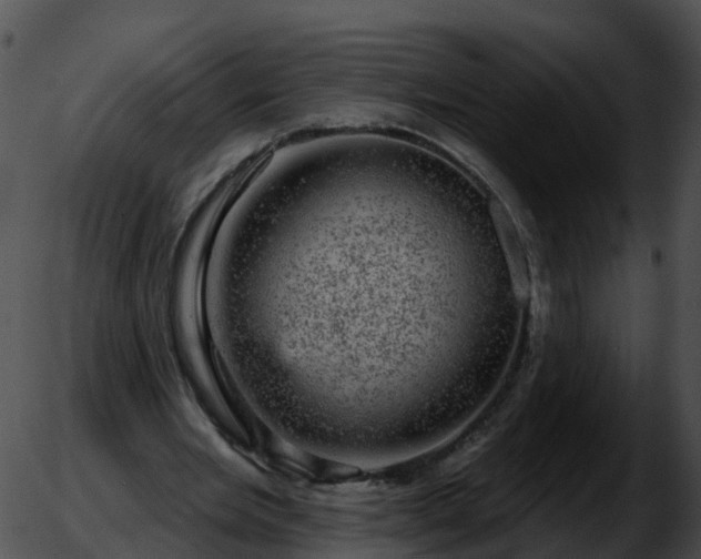 X0000051890485200507020059