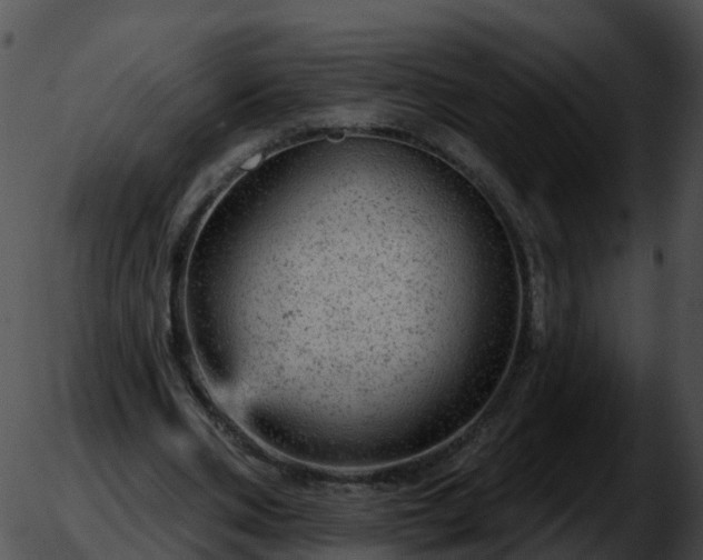 X0000051890486200507020059