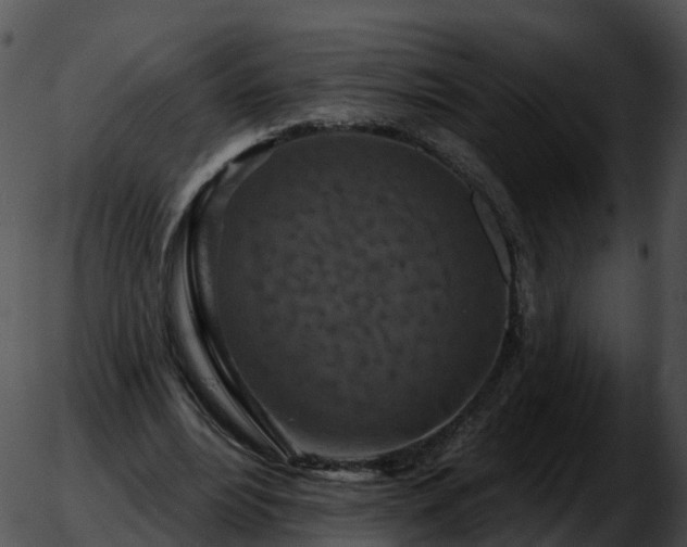 X0000051890488200507020059