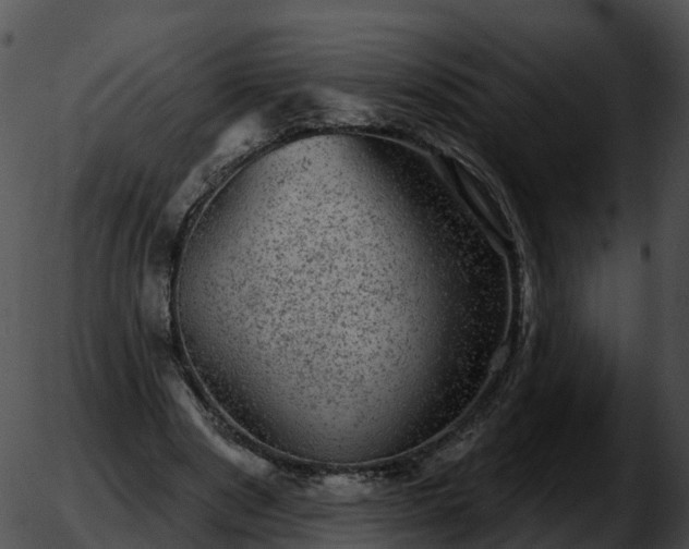 X0000051890489200507020059