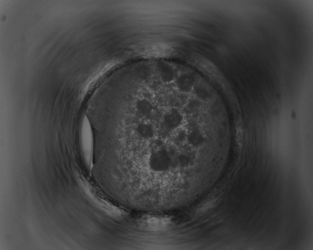 X0000051890491200507020059