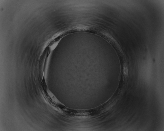 X0000051890492200507020059