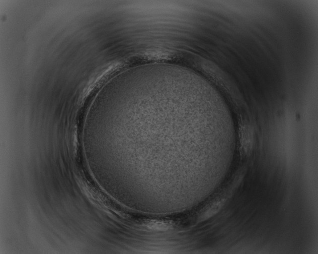 X0000051890494200507020059