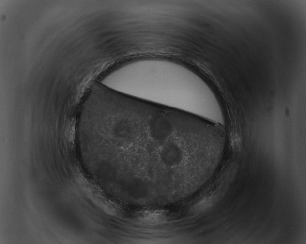 X0000051890495200507020059