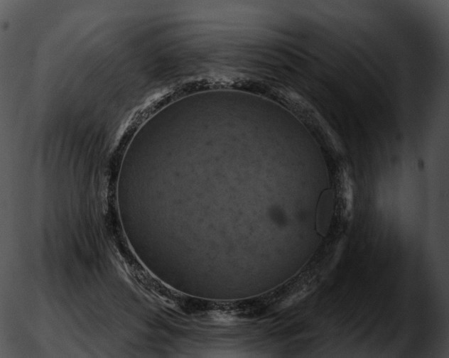 X0000051890496200507020059