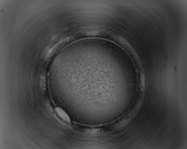 X0000051890497200507020059