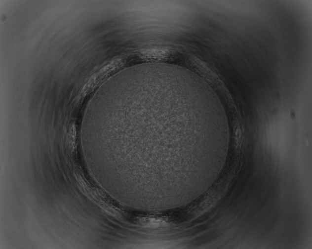 X0000051890498200507020059