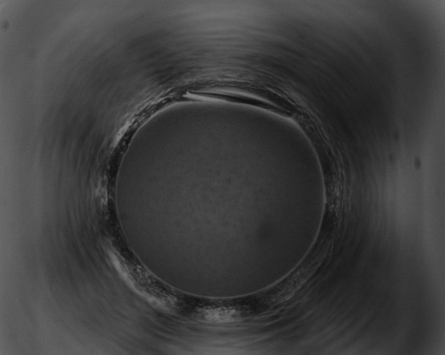 X0000051890500200507020059