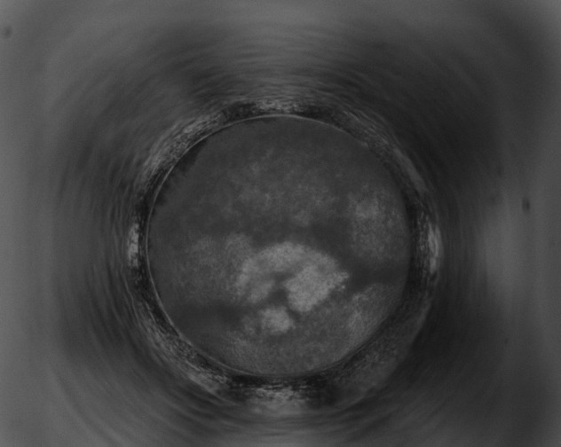 X0000051890502200507020059